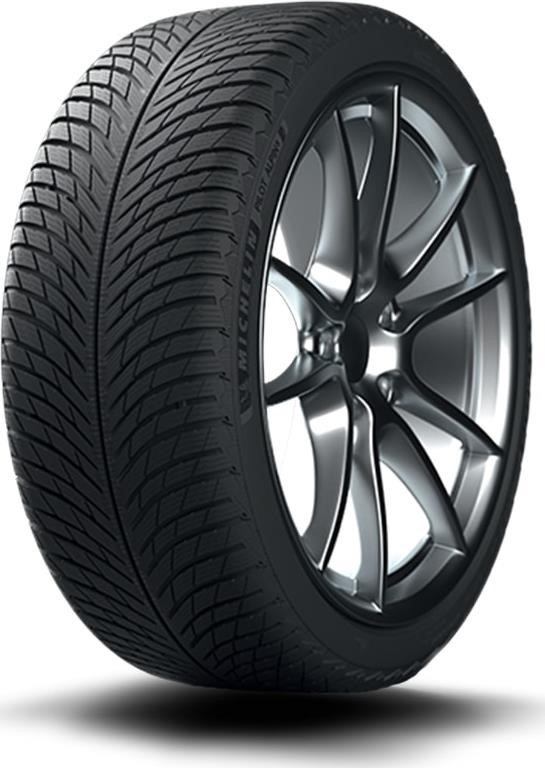 Michelin Pilot Alpin 5 295/30R21 102W XL